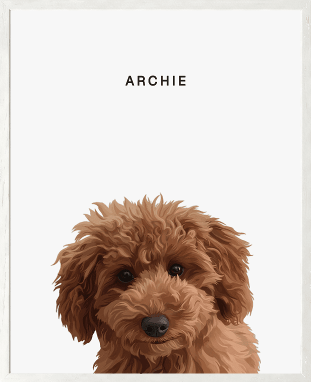Framed head portrait of Archie, a curly red doodle, on a pearl background in a white oak frame